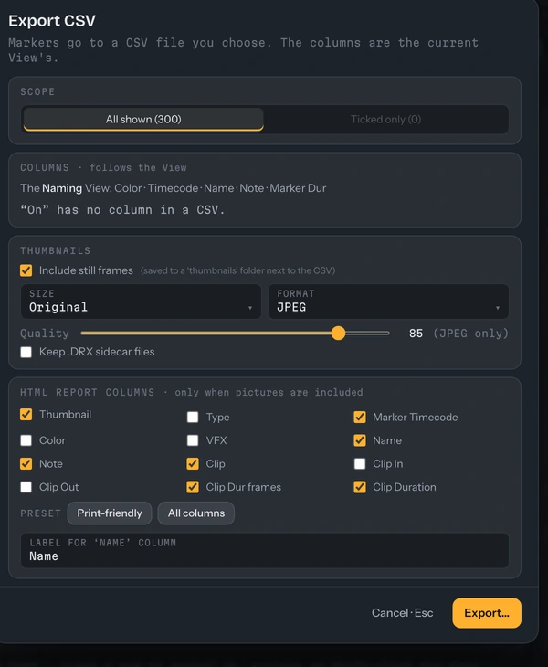 The Export CSV card with its scope, columns, thumbnail and HTML report options
